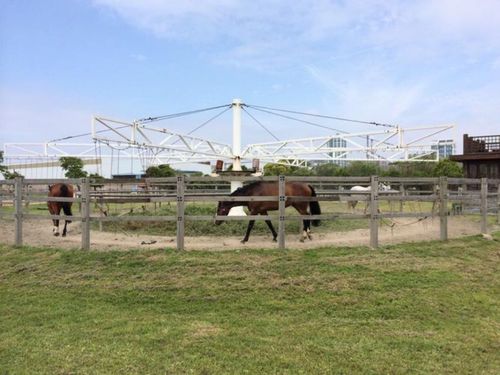 上海灣首屆戶外運動節(jié)暨2023海灣紅葉節(jié)周邊游玩攻略